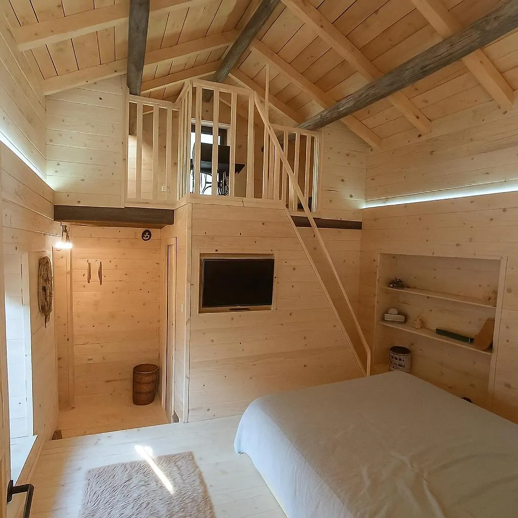 Appartamento Dolomiti House Cencenighe Agordino